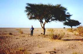 Siefried Haberer in der Wüste